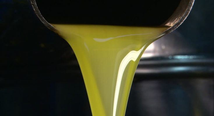 760141833-olive-oil-production-flowing-yellow-green-color