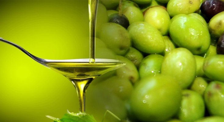 olive oil buness