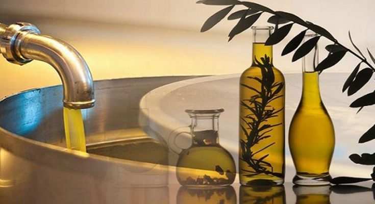 olive_oil business