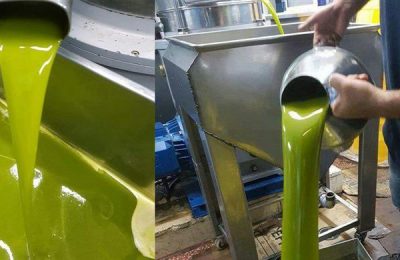 olive oil business