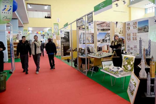 olive oil business