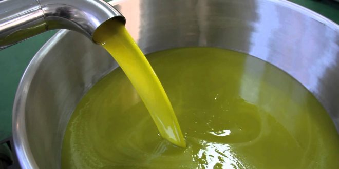 إيطاليا انخفاض أسعار زيت الزيتون البكر الممتاز بـ44 olive oil