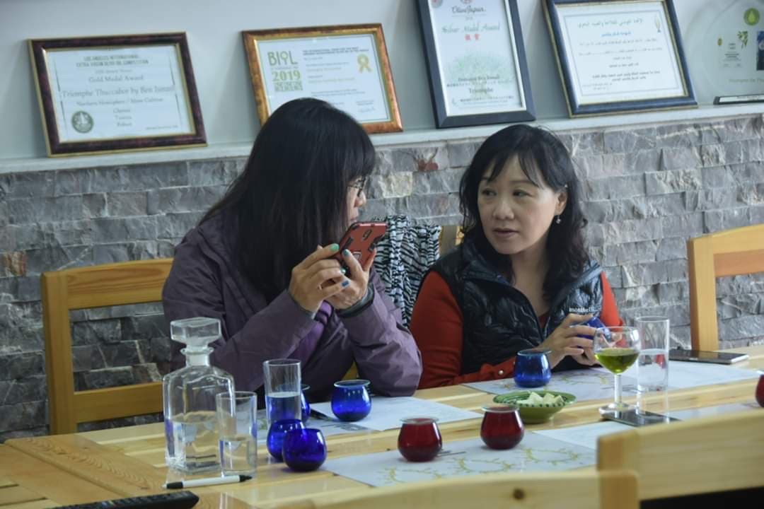 oliveoil-business-6