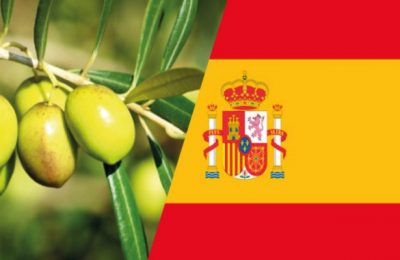 اسبانيا: تعمق أزمة قطاع زيت الزيتون والمزارعون يطلقون صيحة فزع