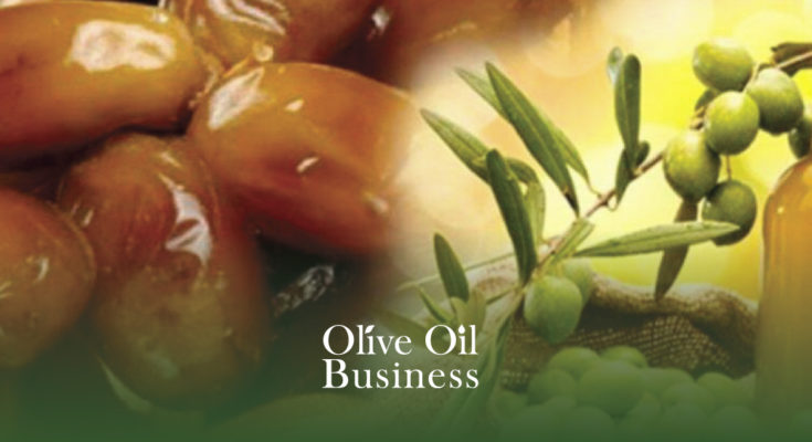 affiche-web-site